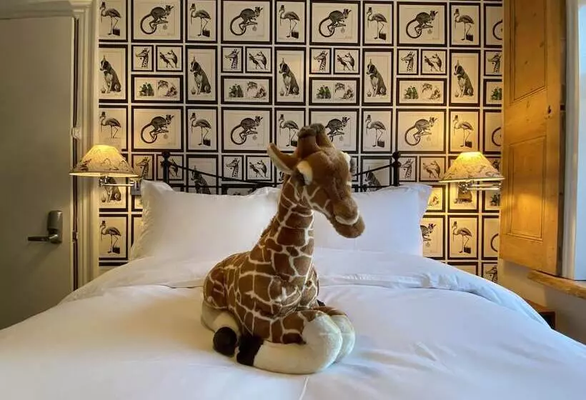 Fotos del hotel 27 Brighton Guesthouse:  16