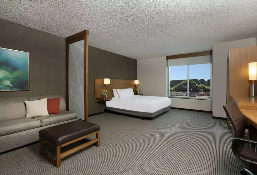 Fotos del hotel Hyatt Place Manati:  21