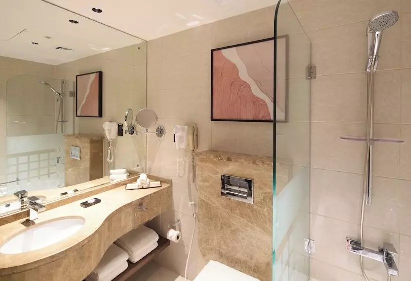 Fotos del hotel Ghaya Grand Hotel & Apartments:  67