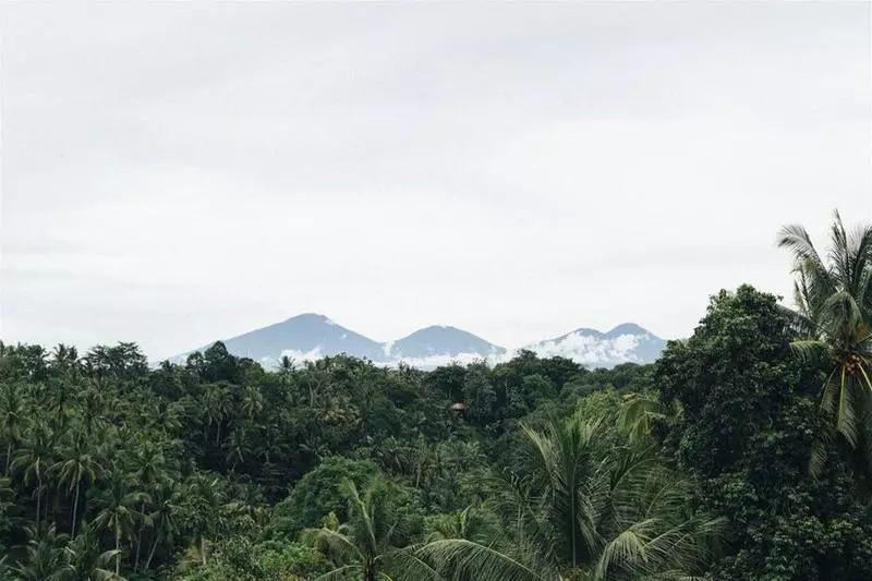 Fotos del hotel Bisma Eight:  9