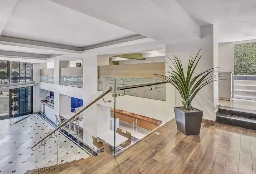 Fotos del hotel One Ciudad De Mexico Alameda:  8