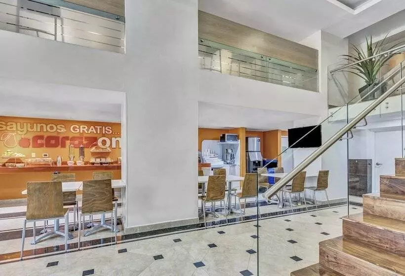 Fotos del hotel One Ciudad De Mexico Alameda:  10