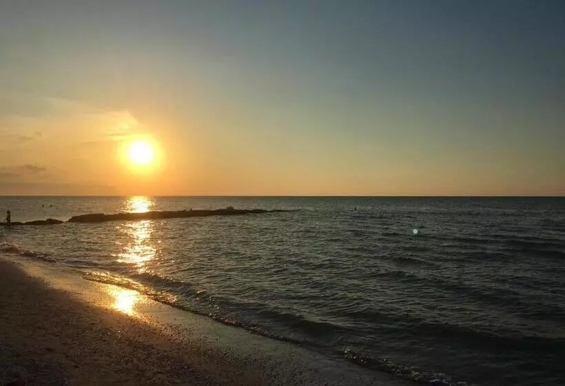 Fotos del hotel The St. Martin Boutique:  7