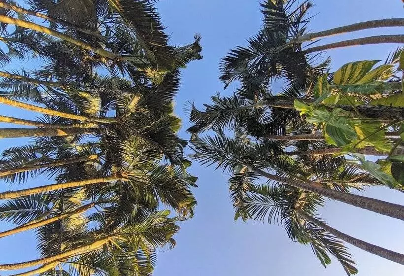 Fotos del hotel Pousada Villegaignon:  17