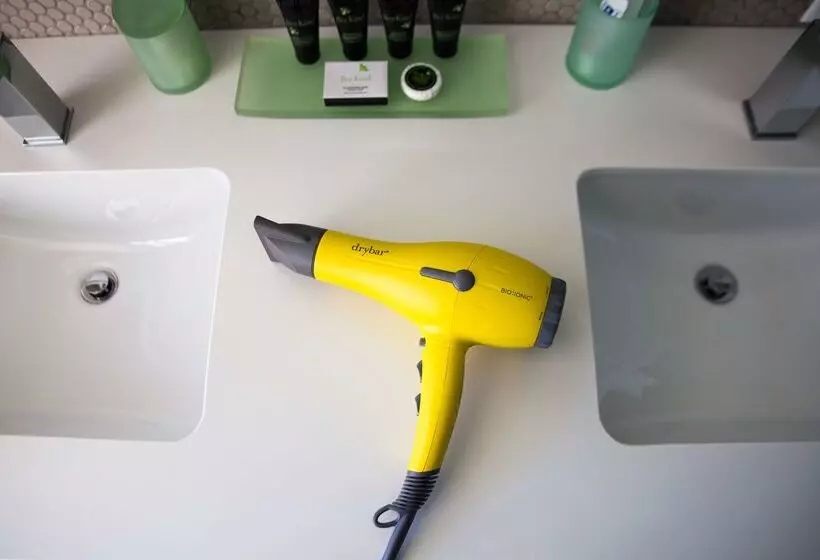 Fotos del hotel Hyatt Centric The Loop Chicago:  13