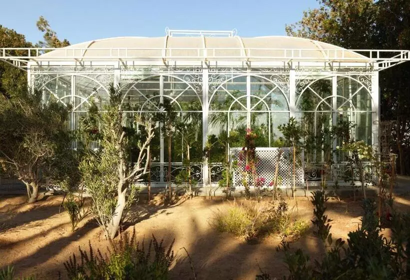 Fotos del hotel La Maison Bleue El Gouna:  6