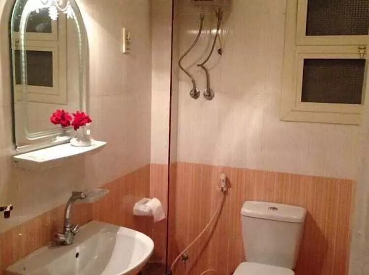 Fotos del hotel Rose Hotel Cairo:  5