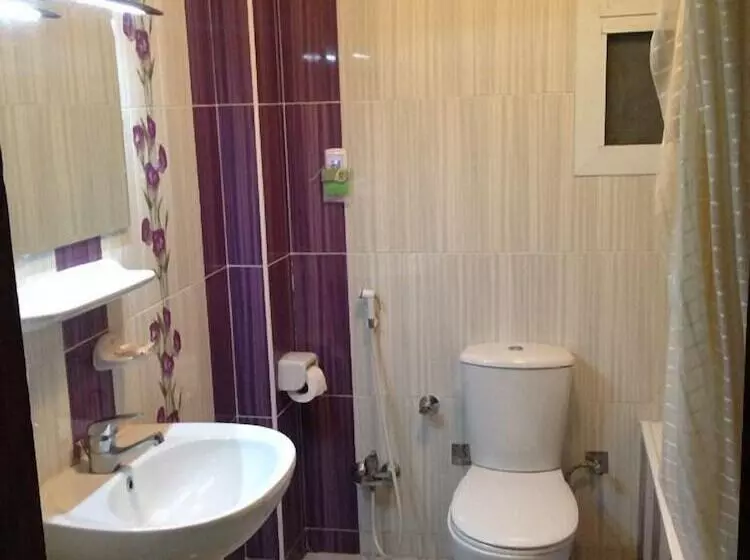 Fotos del hotel Rose Hotel Cairo:  3