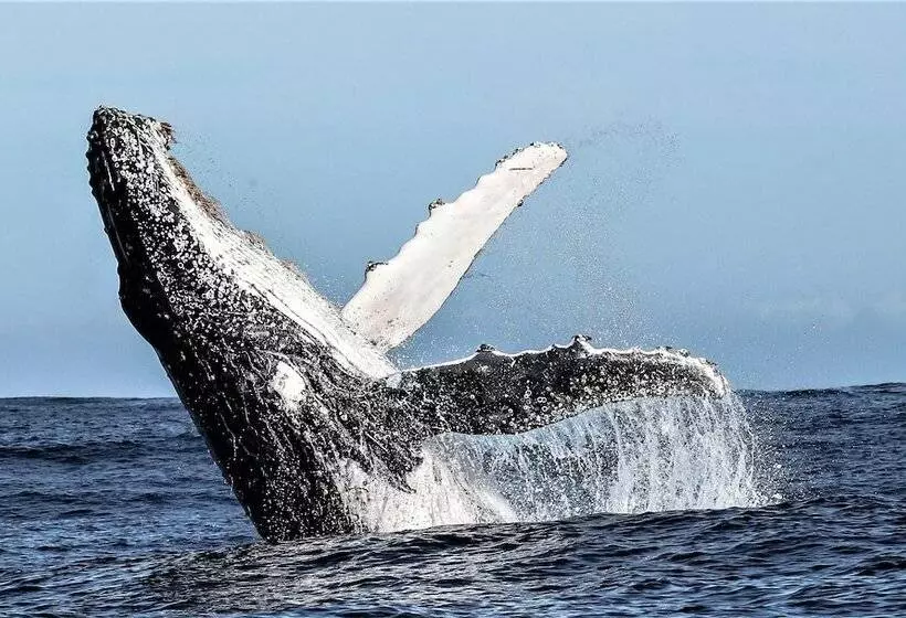 Fotos del hotel Birkenhead House:  3