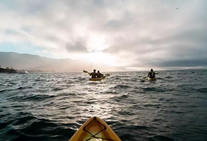 Fotos del hotel Birkenhead House:  7