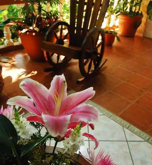 Fotos del hotel Villa Bosque:  17