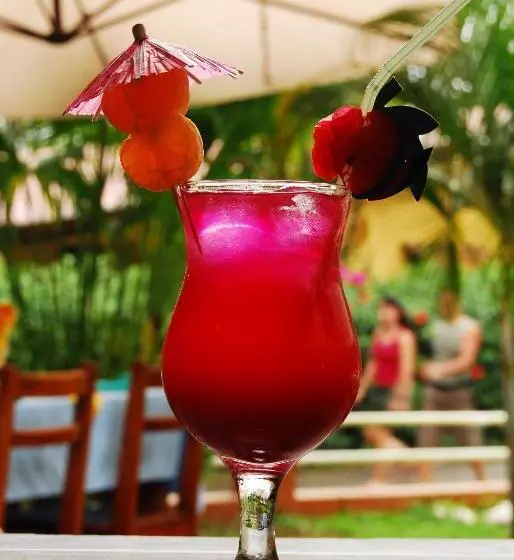 Fotos del hotel Villa Bosque:  23