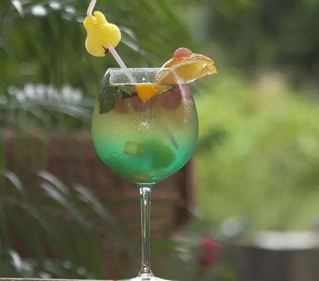 Fotos del hotel Villa Bosque:  9