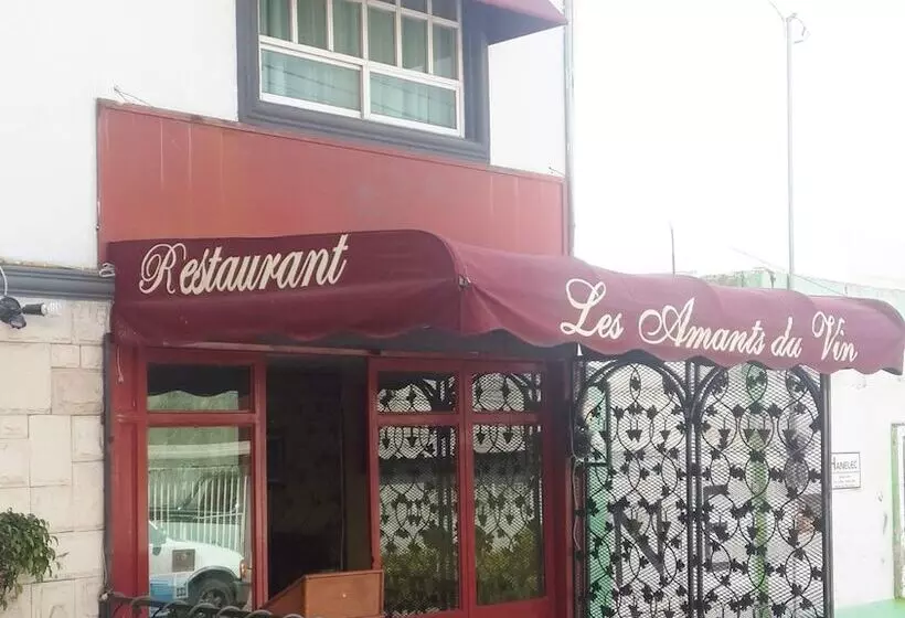 Fotos del hotel Boutique Angelopolis And Business:  2