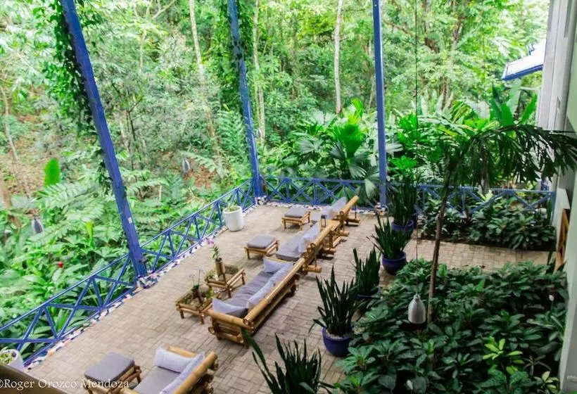 Fotos del hotel Plaza Yara:  17