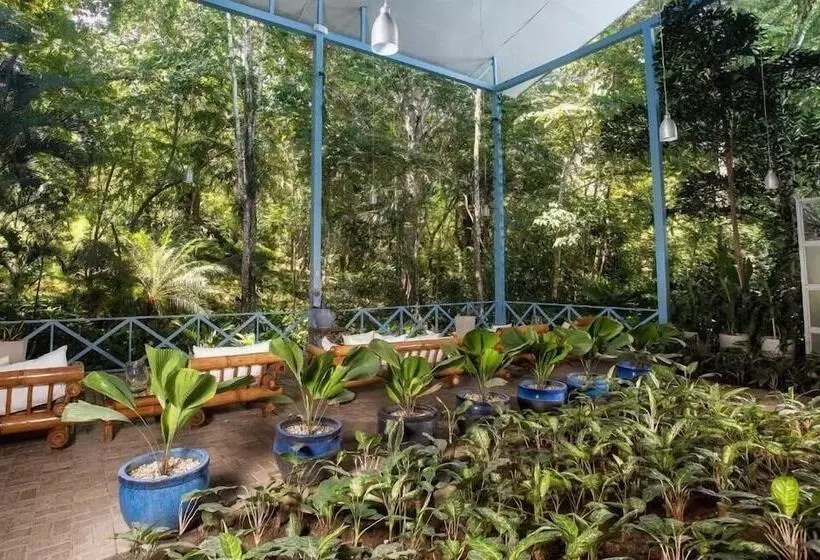 Fotos del hotel Plaza Yara:  4