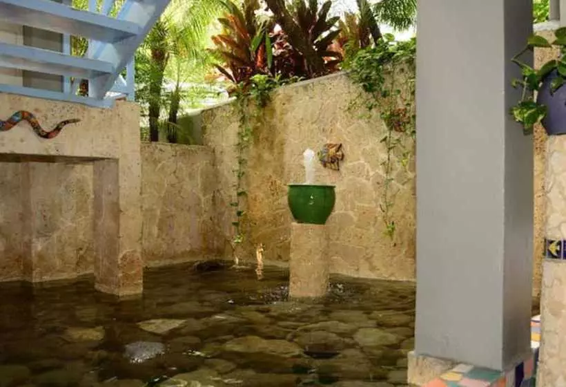 Fotos del hotel Plaza Yara:  18