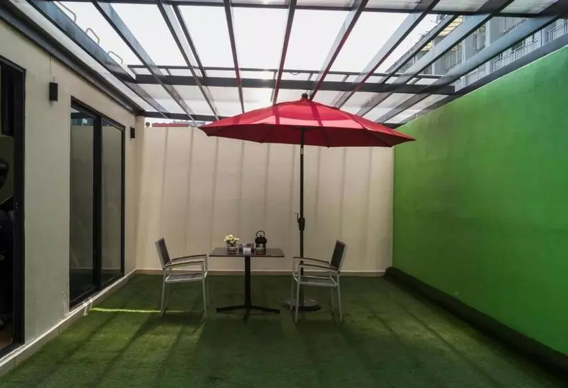 Fotos del hotel Alteza Polanco:  20