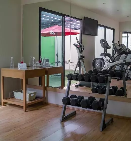 Fotos del hotel Alteza Polanco:  4