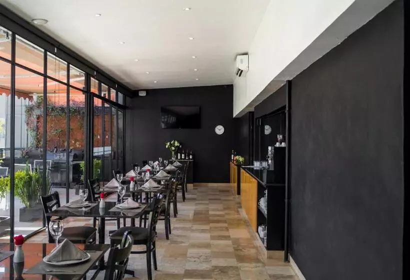 Fotos del hotel Alteza Polanco:  6