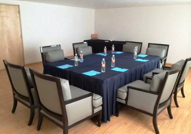 Fotos del hotel Alteza Polanco:  19