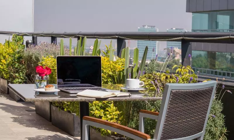 Fotos del hotel Alteza Polanco:  24