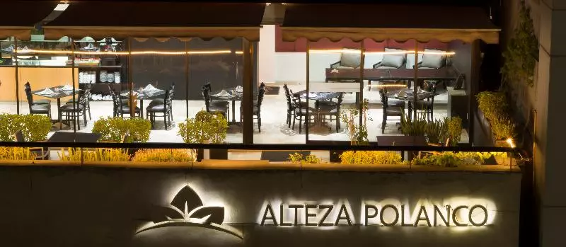 Fotos del hotel Alteza Polanco:  14