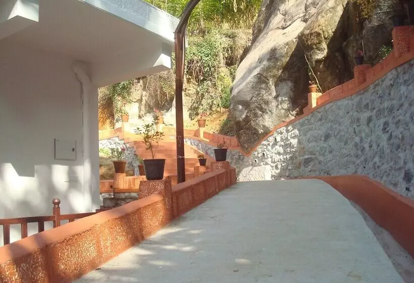 Fotos del hotel Olivebrook:  2