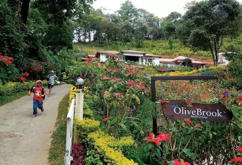 Fotos del hotel Olivebrook:  12