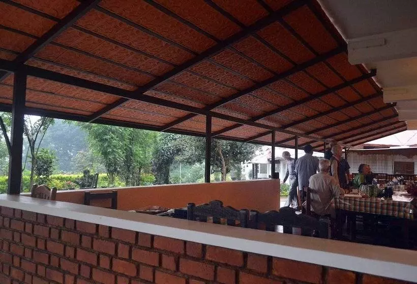 Fotos del hotel Olivebrook:  11