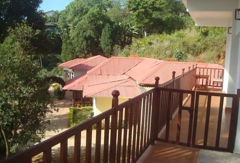 Fotos del hotel Olivebrook:  6