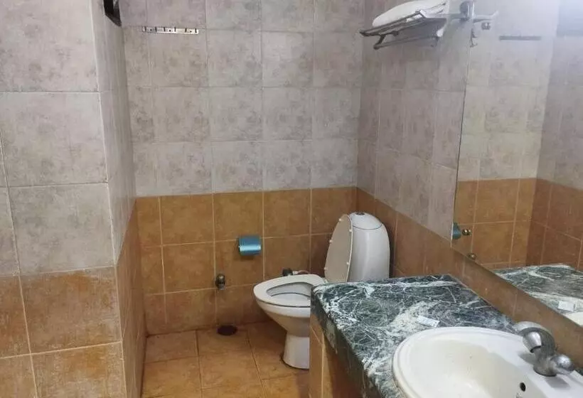 Fotos del hotel Taj Heritage:  5