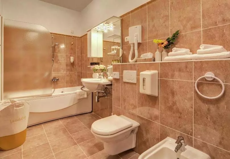 Fotos del hotel Boutique  Villa Vulin:  3