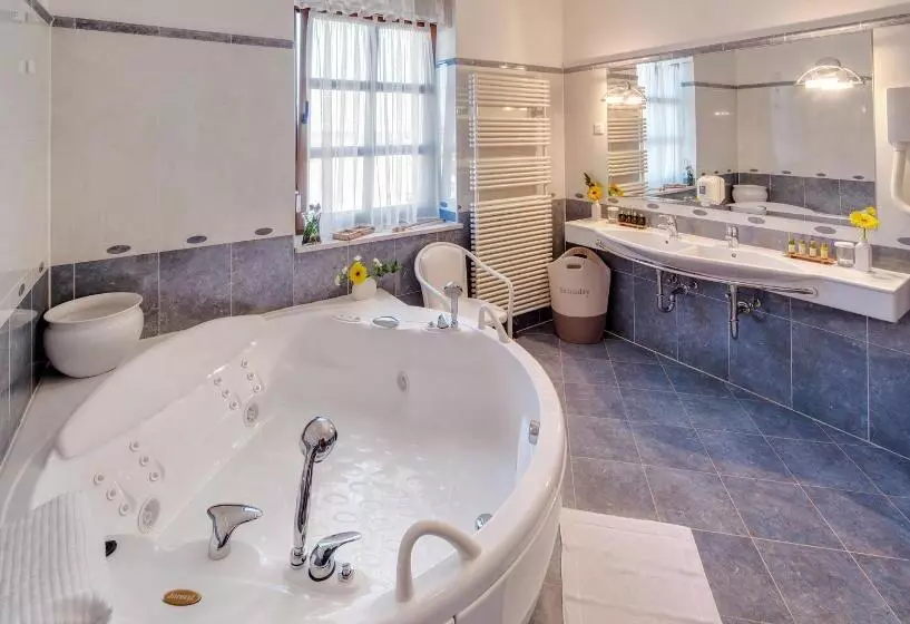 Fotos del hotel Boutique  Villa Vulin:  11