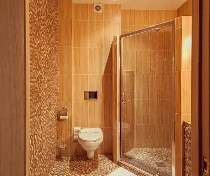 Fotos del hotel Ambassador Plaza:  23