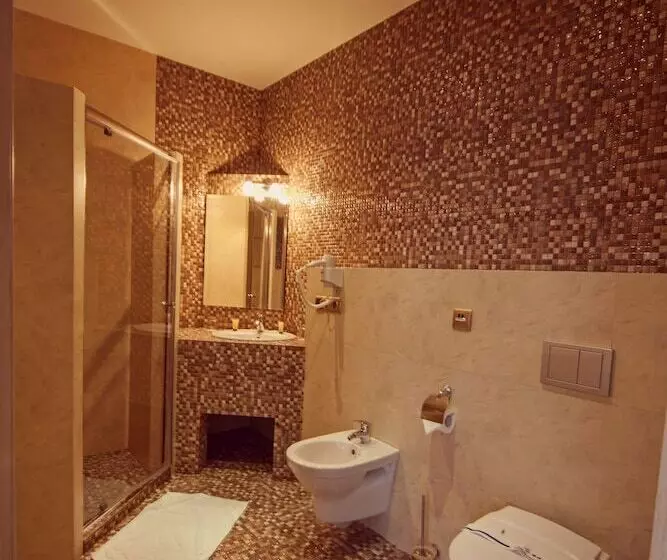 Fotos del hotel Ambassador Plaza:  21