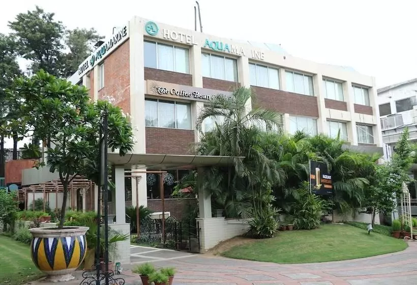 Fotos del hotel Aquamarine:  9