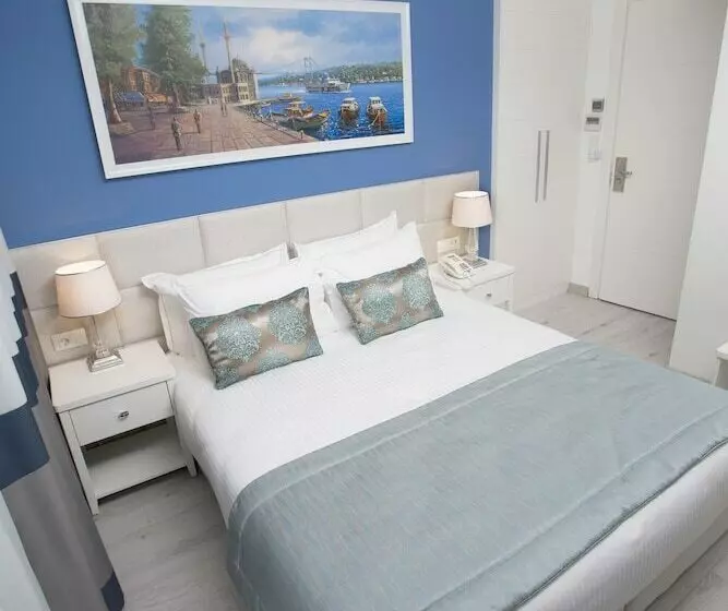 Fotos del hotel Rawda Hotel Bakirkoy:  18