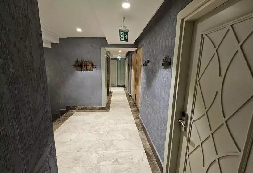 Fotos del hotel Anthemis:  4