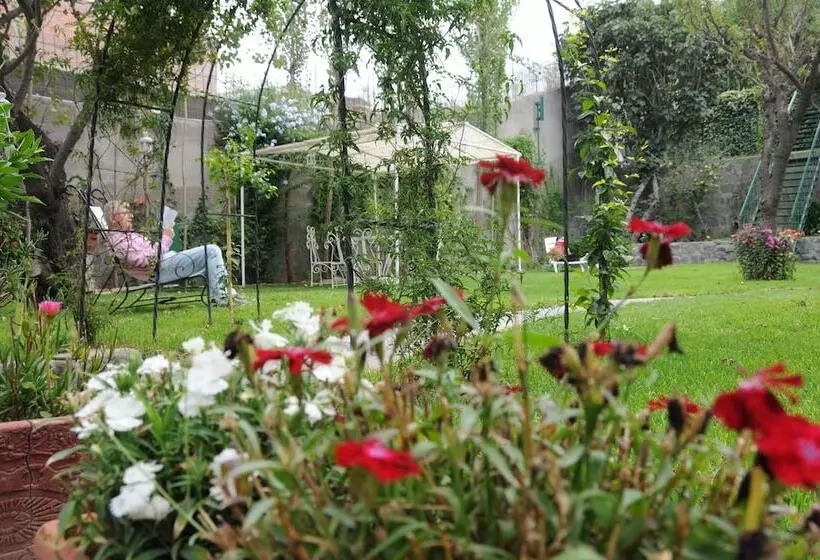 Fotos del hotel Boutique Villa Elisa:  15