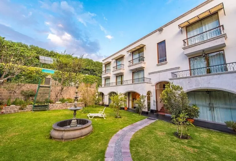 Fotos del hotel Boutique Villa Elisa:  24