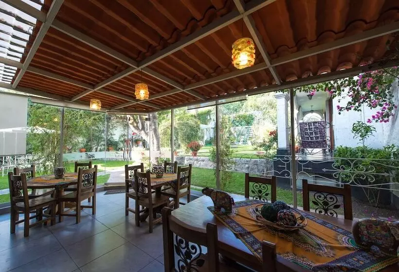 Fotos del hotel Boutique Villa Elisa:  23