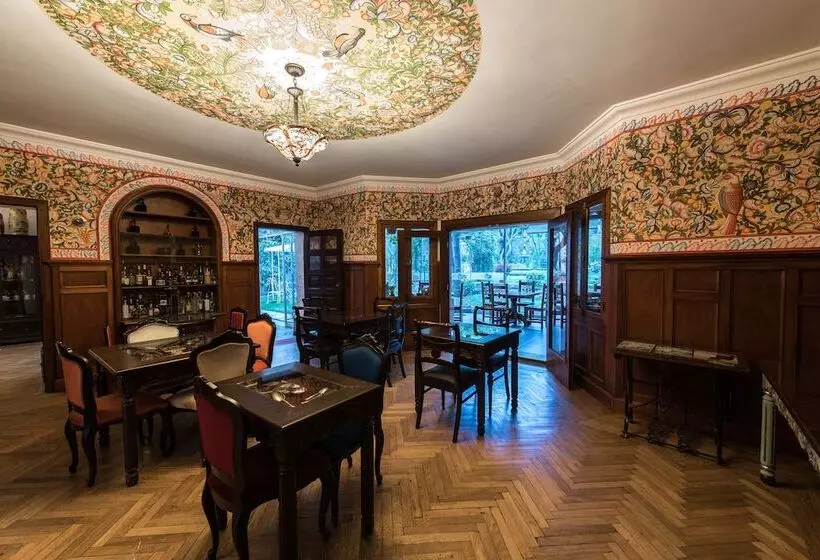 Fotos del hotel Boutique Villa Elisa:  13