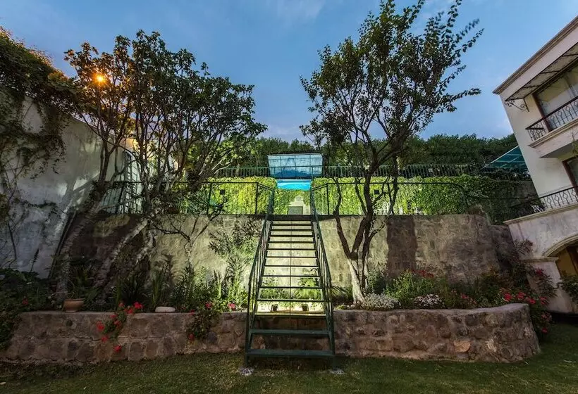 Fotos del hotel Boutique Villa Elisa:  7