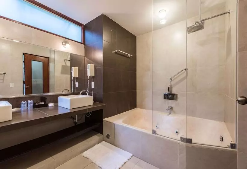 Fotos del hotel Boutique Villa Elisa:  8