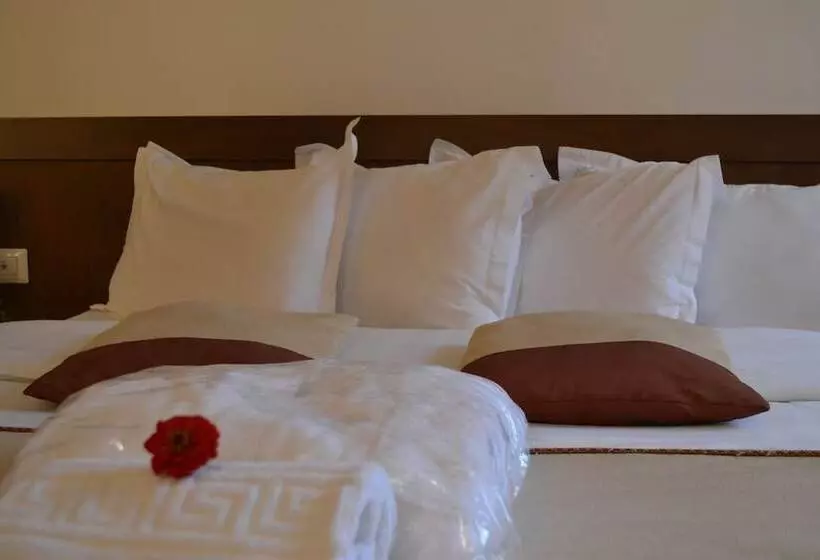 Fotos del hotel Phoenicia Comfort:  23