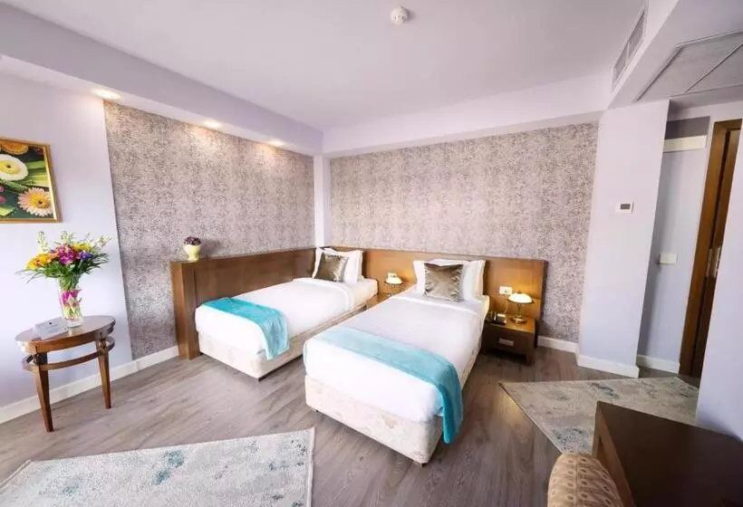 Fotos del hotel Phoenicia Comfort:  12