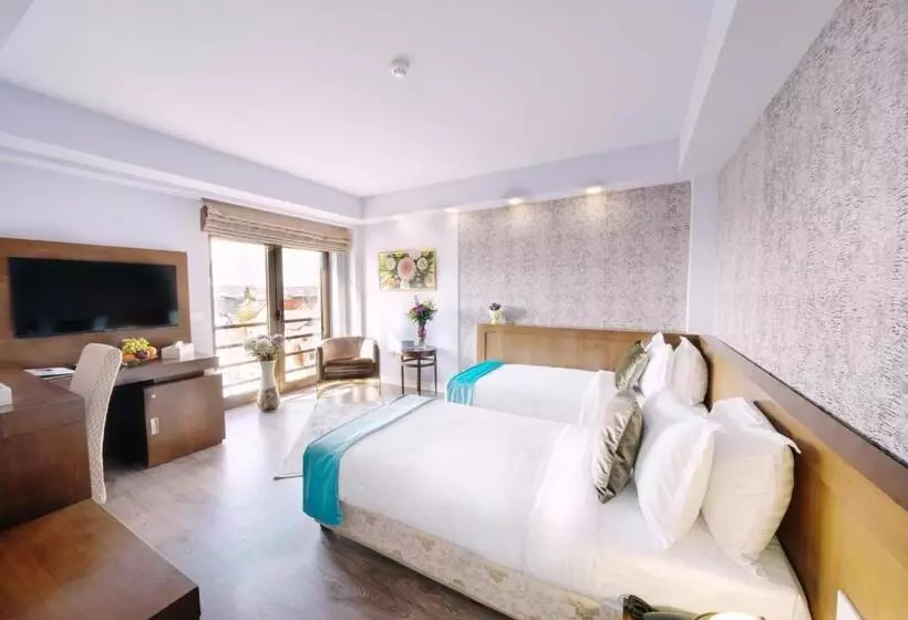 Fotos del hotel Phoenicia Comfort:  15