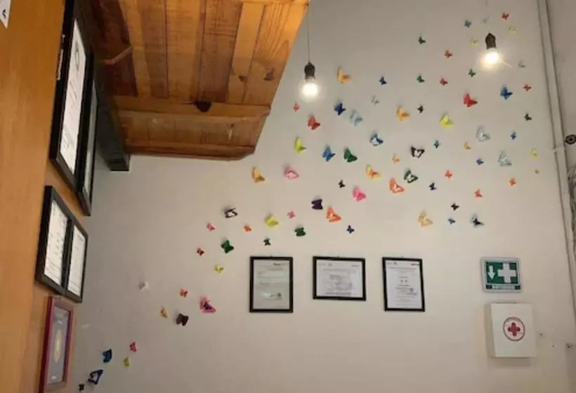 Fotos del hotel Aurora:  8