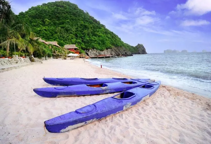 Fotos del hotel Monkey Island Resort:  5